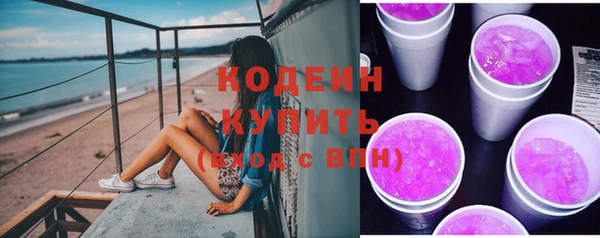 шишки Белокуриха