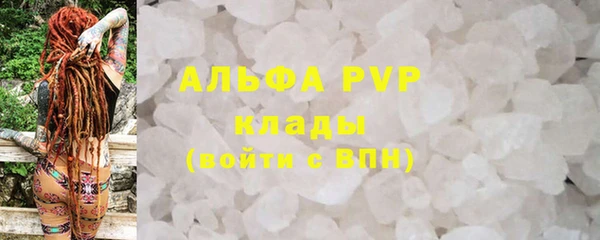 стаф Тайга