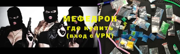 индика Тавда