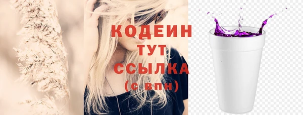 шишки Белокуриха