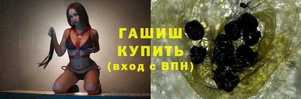шишки Белокуриха