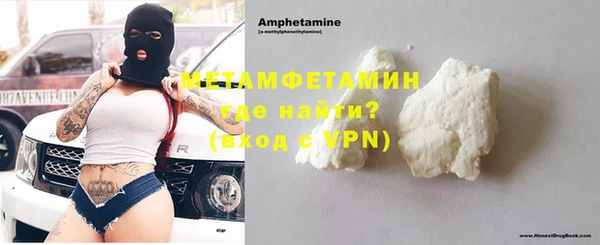 шишки Белокуриха