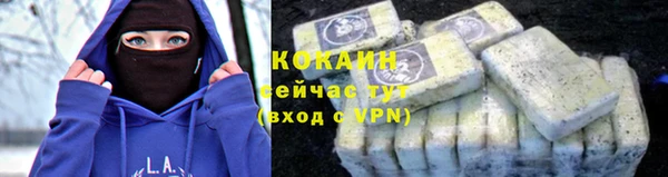 шишки Белокуриха