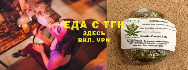 крисы Бородино