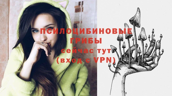 МДПВ Белоозёрский