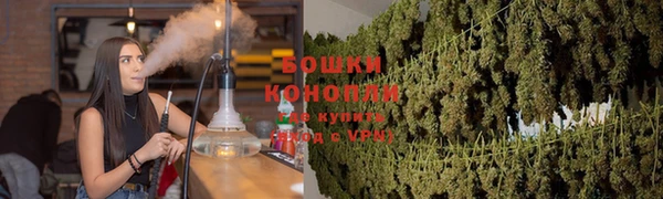 шишки Белокуриха