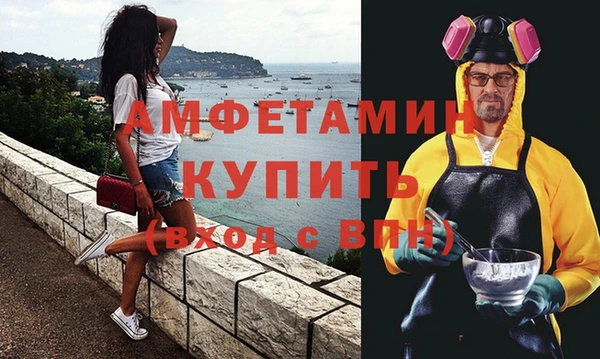 шишки Белокуриха