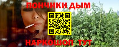 дурь Камышлов