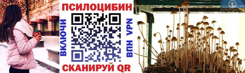 Псилоцибиновые грибы GOLDEN TEACHER  купить наркотик  маркетплейс как зайти  Верхний Уфалей 